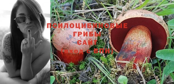 ALPHA PVP Аркадак